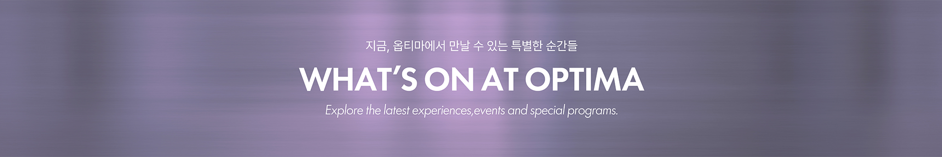 프로모션 배너